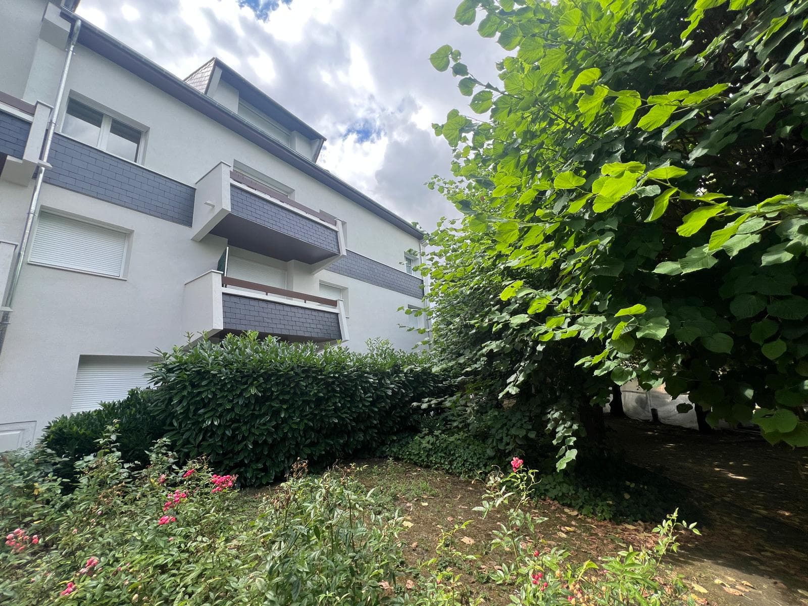 Appartement 3 pièces - Chatou